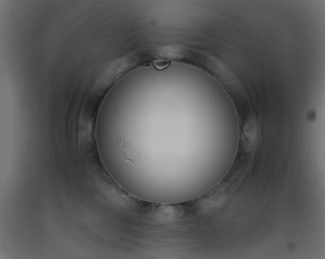 X0000093390330200710111520