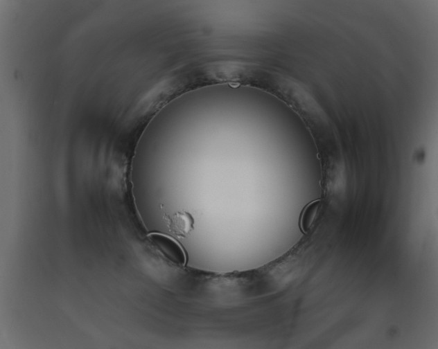 X0000093390332200710111520