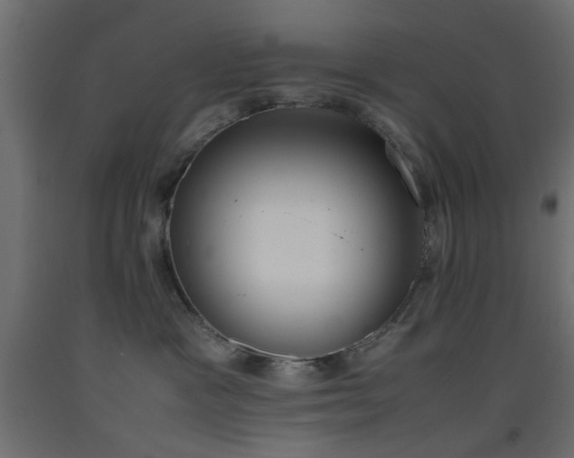 X0000093390333200710111520