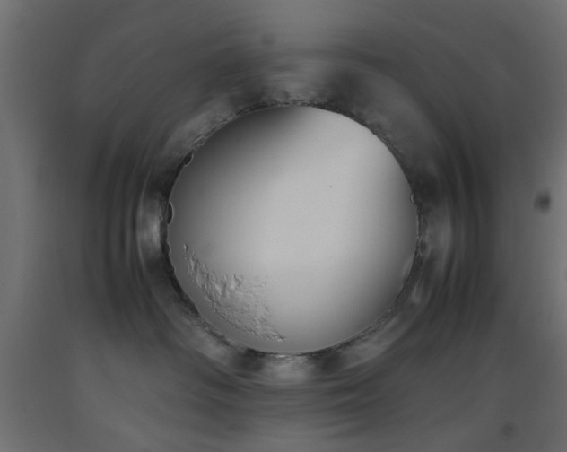 X0000093390334200710111520