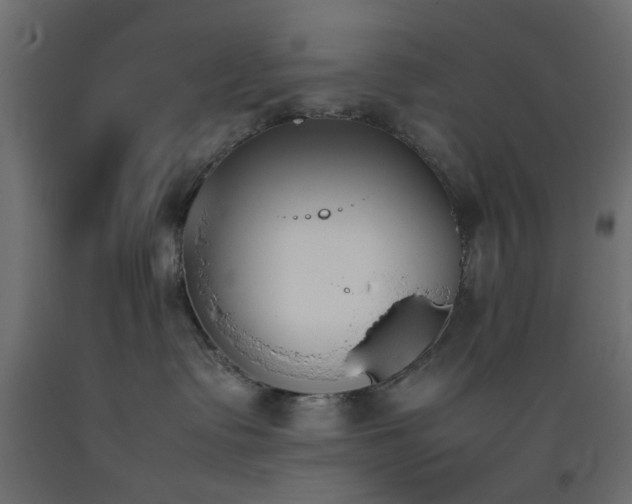 X0000093390335200710111520