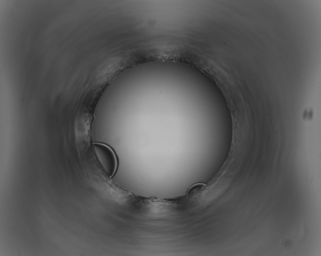 X0000093390336200710111520