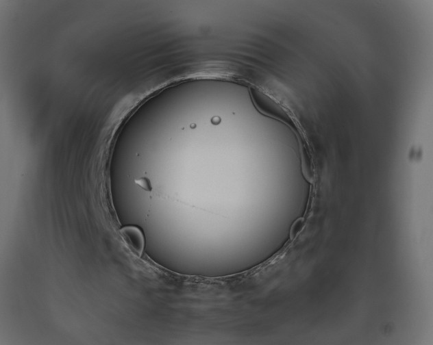 X0000093390337200710111519