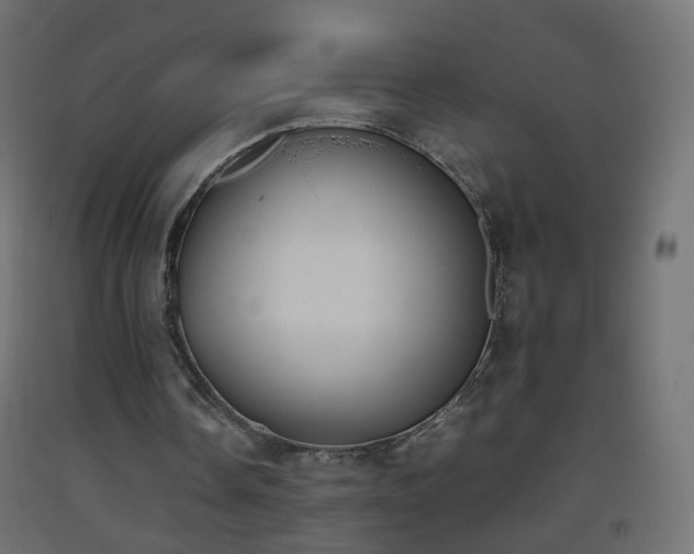 X0000093390338200710111519