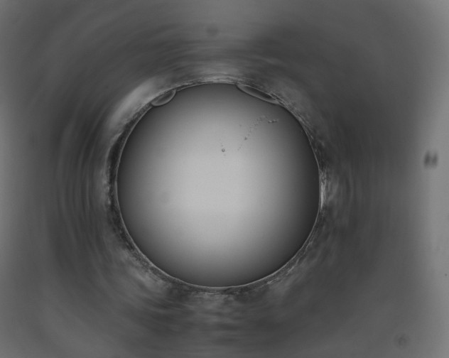 X0000093390339200710111519