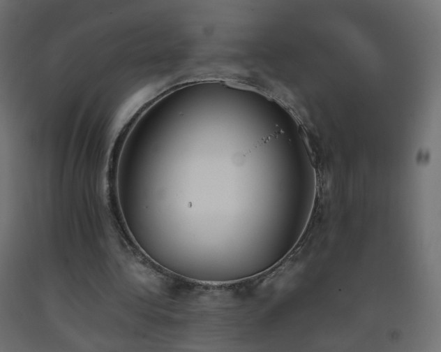 X0000093390340200710111519