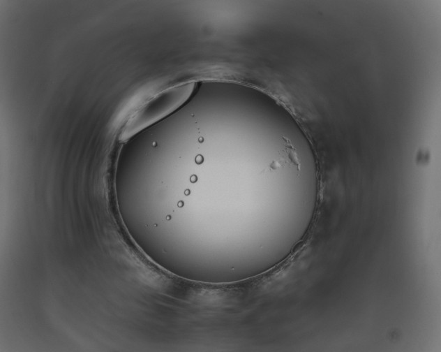 X0000093390341200710111519