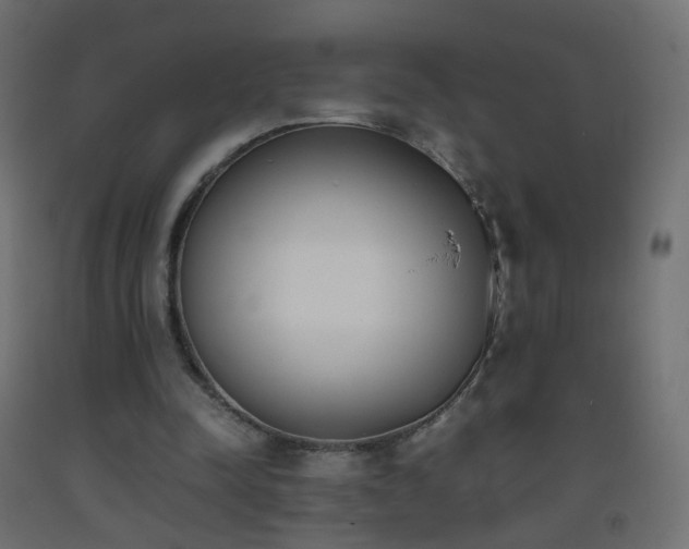 X0000093390342200710111519