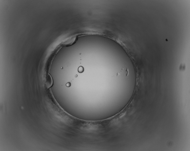 X0000093390343200710111519