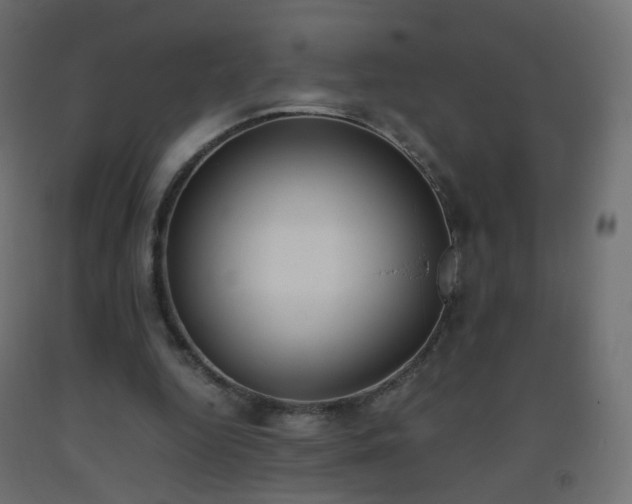 X0000093390344200710111519