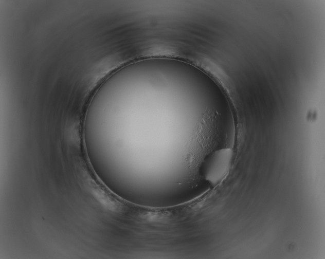 X0000093390345200710111519