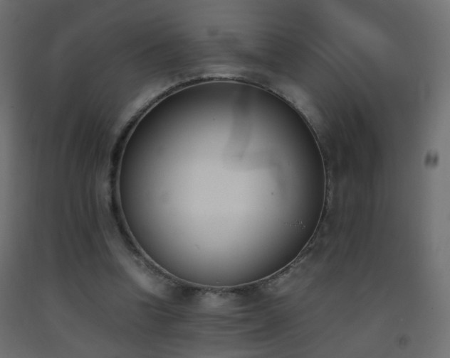 X0000093390346200710111519