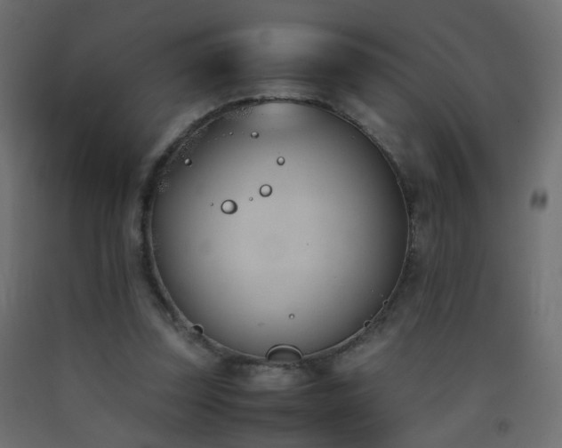 X0000093390347200710111519