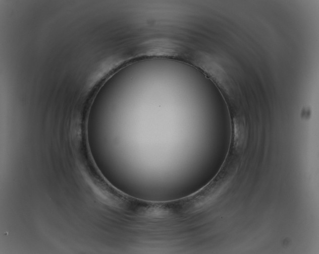 X0000093390348200710111519