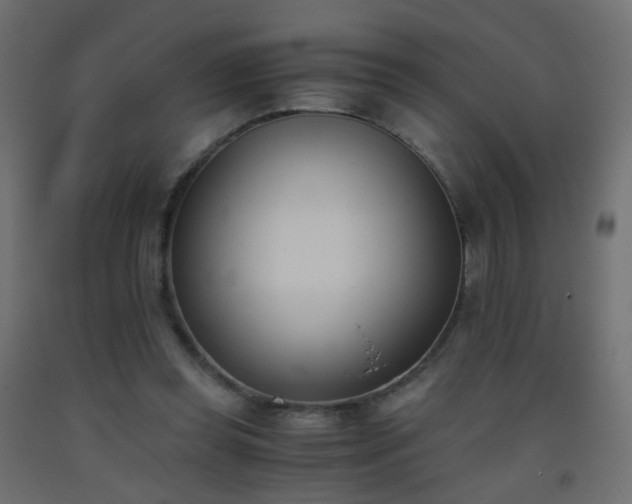 X0000093390349200710111519