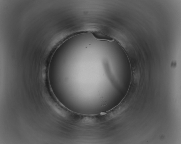 X0000093390350200710111519