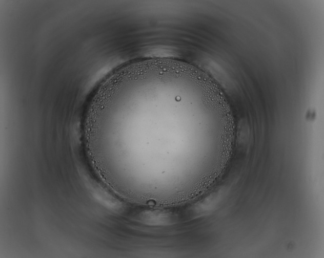 X0000093390351200710111519