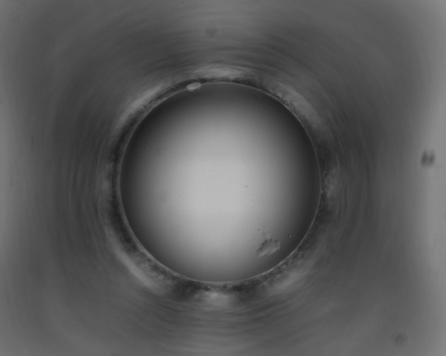 X0000093390352200710111519