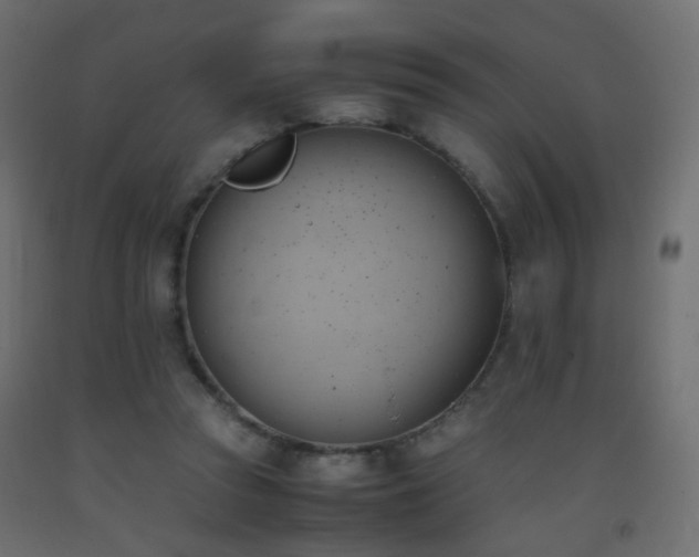 X0000093390353200710111519