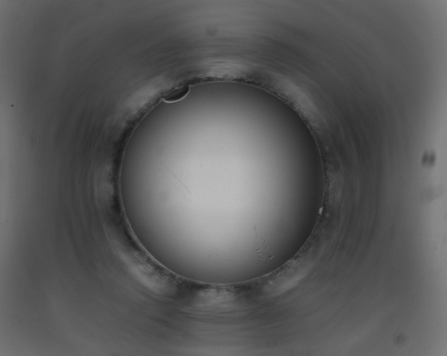 X0000093390354200710111519