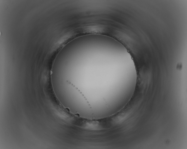 X0000093390355200710111519