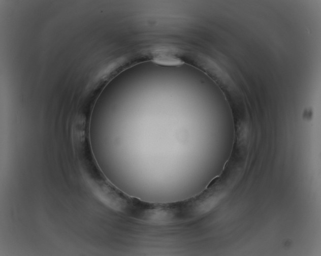 X0000093390356200710111519