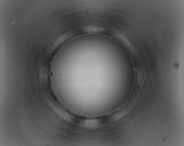 X0000093390357200710111519