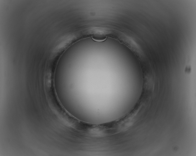 X0000093390358200710111519