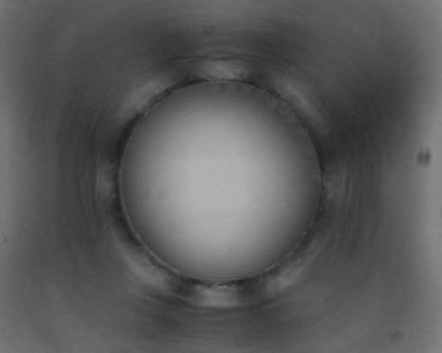 X0000093390359200710111519