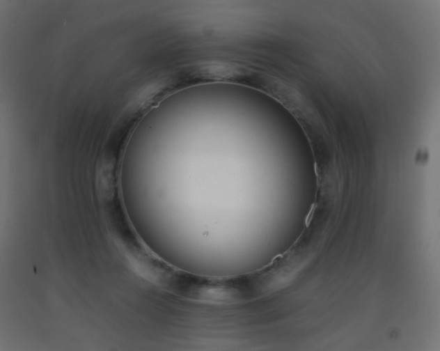 X0000093390360200710111519