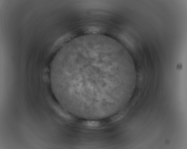 X0000093390361200710111519