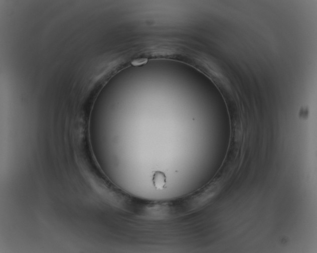 X0000093390362200710111519