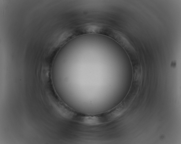 X0000093390363200710111519