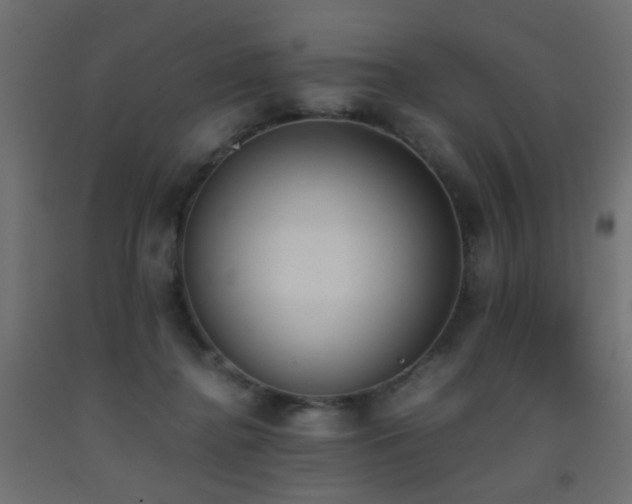 X0000093390364200710111519