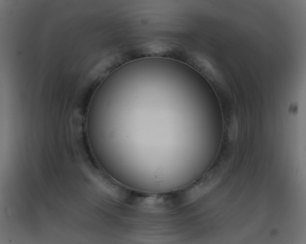 X0000093390366200710111519