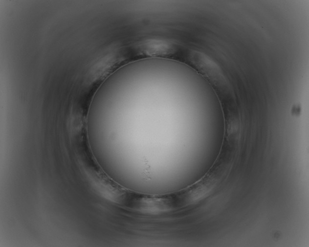 X0000093390367200710111519