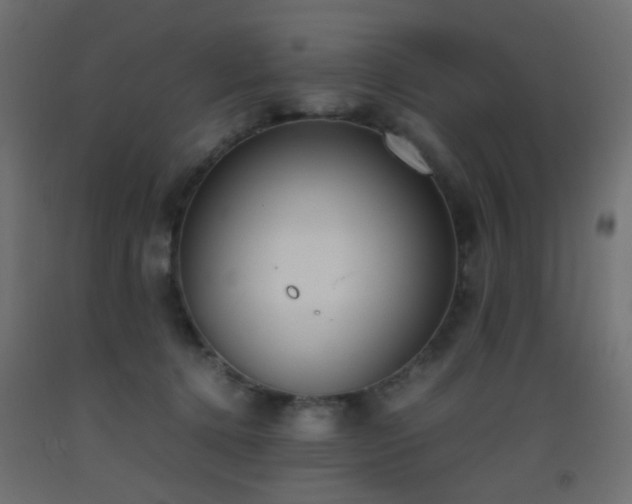 X0000093390368200710111519