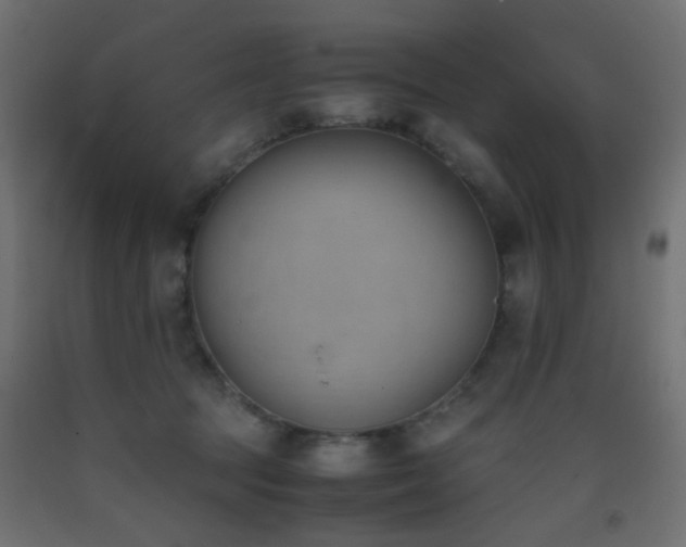 X0000093390369200710111519