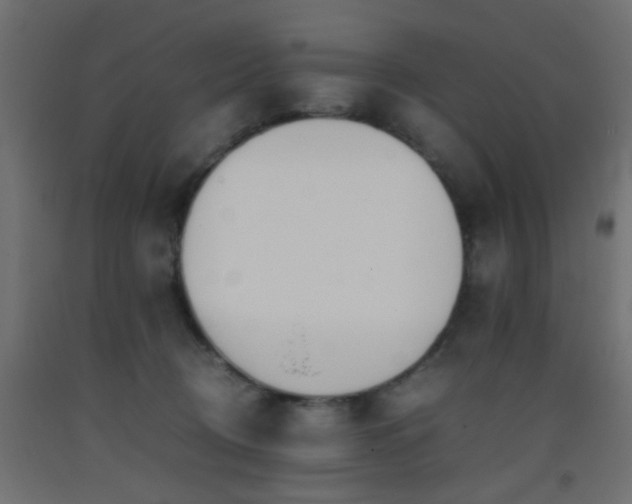 X0000093390370200710111520