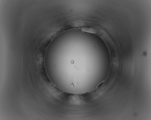 X0000093390372200710111520