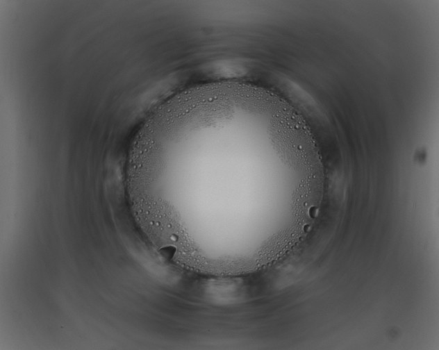 X0000093390373200710111520