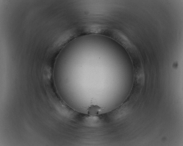 X0000093390374200710111520