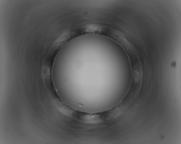 X0000093390375200710111520