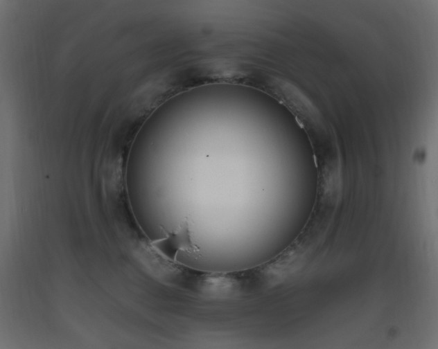 X0000093390376200710111520