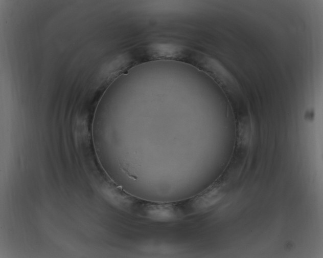 X0000093390377200710111520