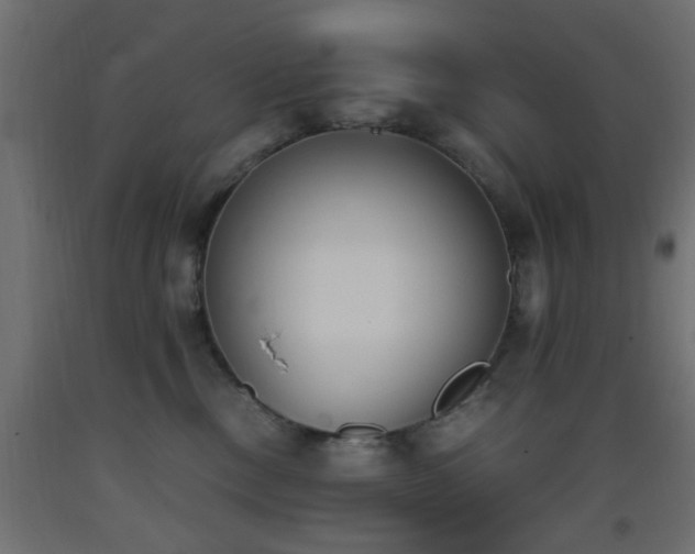 X0000093390378200710111520