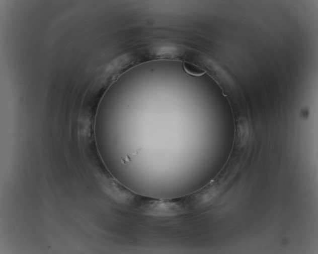 X0000093390379200710111520