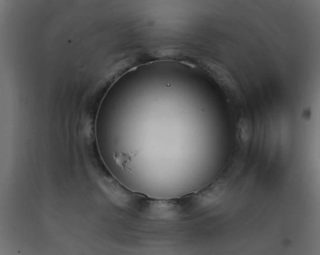 X0000093390380200710111520