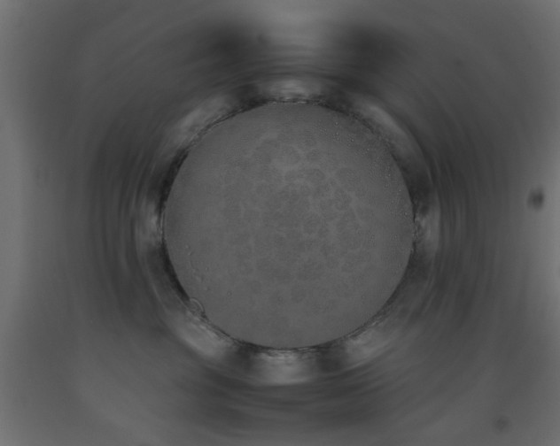 X0000093390381200710111520