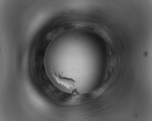 X0000093390382200710111520